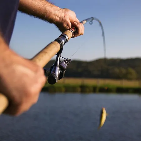 - Turisticna Kmetija Vrbnjak 公寓 *