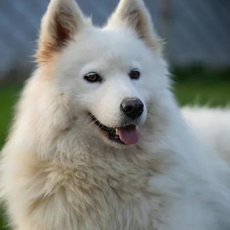 - Turisticna Kmetija Vrbnjak Апартаменты