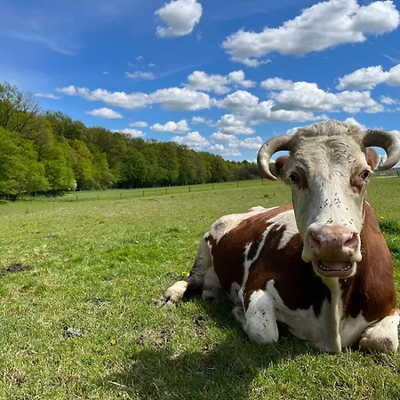 - Turisticna Kmetija Vrbnjak *