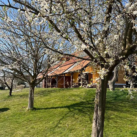 - Turisticna Kmetija Vrbnjak