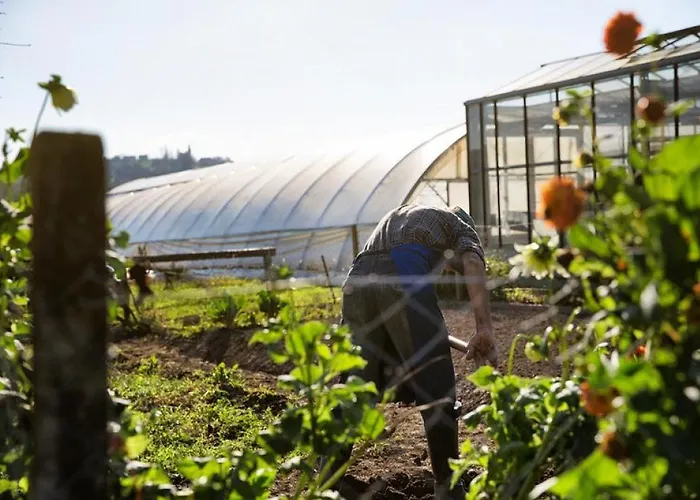 - Turisticna Kmetija Vrbnjak *