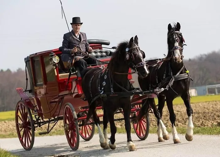 Appartement - Turisticna Kmetija Vrbnjak *