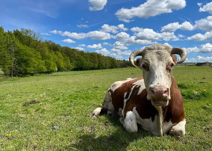 - Turisticna Kmetija Vrbnjak *